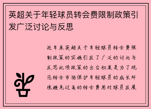 英超关于年轻球员转会费限制政策引发广泛讨论与反思 英超关于年轻球员转会费限制政策引发广泛讨论与反思
